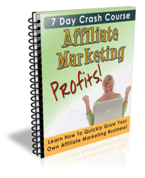 Product picture Affiliate Marketing Profits PLR - Affiliate Marketing Reviews